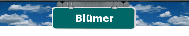 Blmer