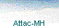Attac-MH