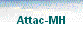 Attac-MH