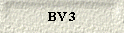 BV 3