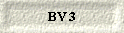 BV 3