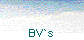 BV`s