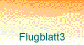 Flugblatt3