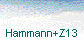Hammann+Z13